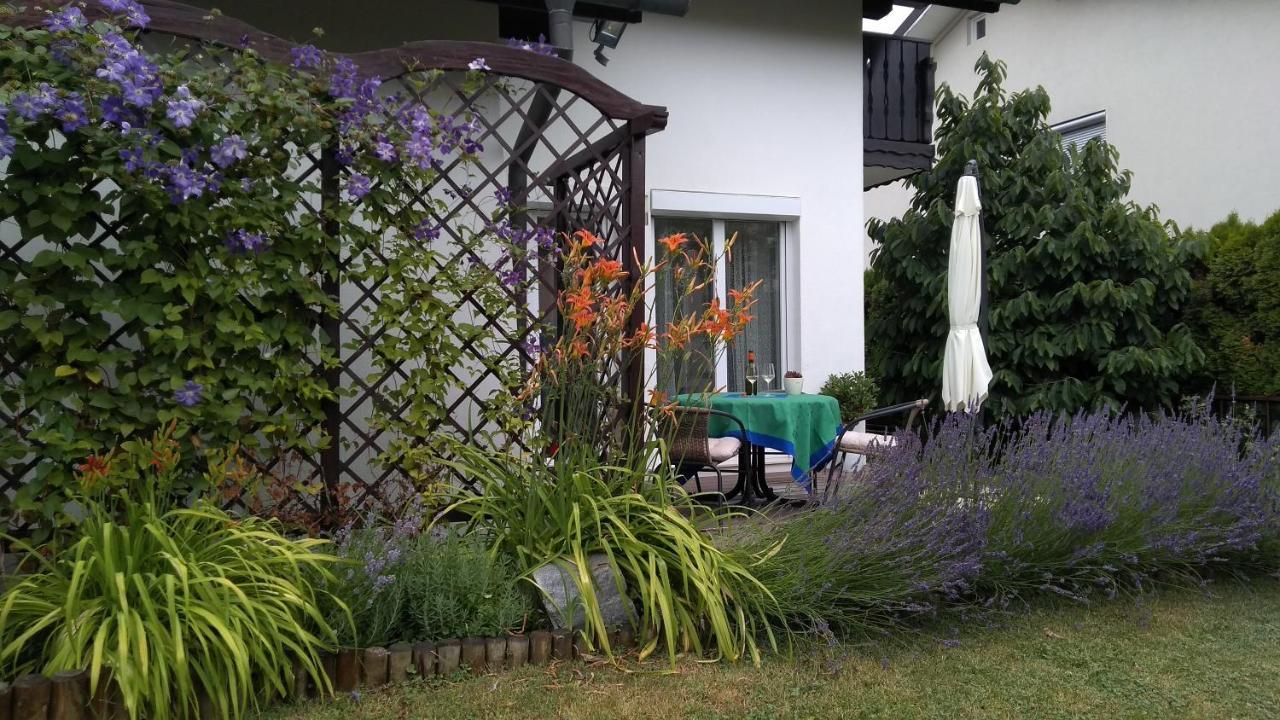 Apartma Golob Zgornja Kungota 外观 照片
